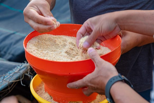 餌はハワイの自然のものだけ