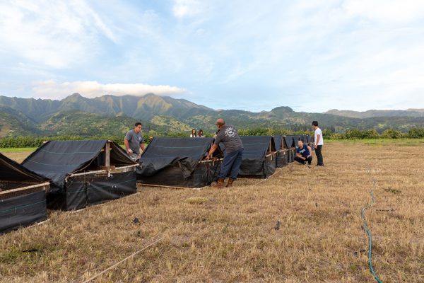 ゲージは人力で動かします